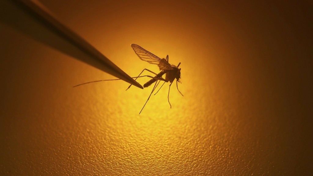 west-nile virus_kounoupi_0907_1920-1080_new